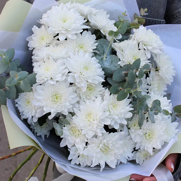 Букет из 5 веток белой хризантемы Балтика