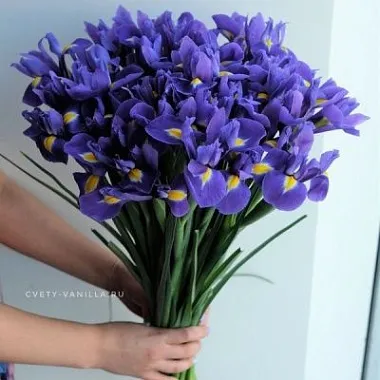 Букет из 51 ириса - изображение 2