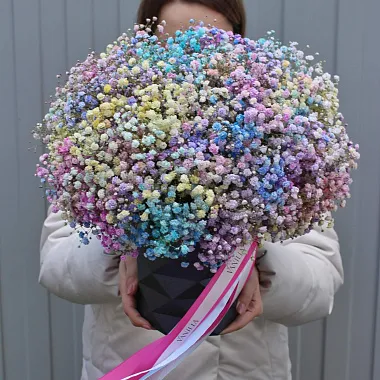 Цветы в больницу: Цветная гипсофила в боксе