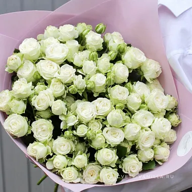 Букет из роз 50 см: На фото Белые кустовые розы "Peonia" 50 см Букет из роз 50 см: Белые кустовые розы "Peonia" 50 см