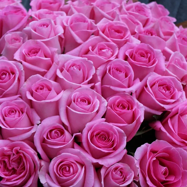 Букет из 51 розы Revival 60 см