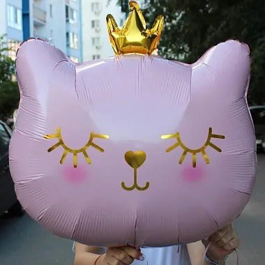 Шар милая кошечка - изображение 2