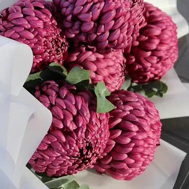 Цветы: Букет из хризантем "Осень"