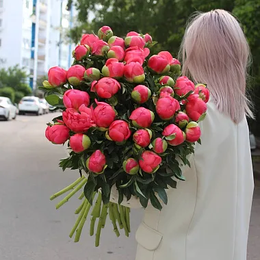 Букеты пионов: 39 местных пионов Корал Шарм