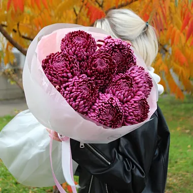 Букеты  цветов с доставкой - Букет из 9 хризантем Бигуди «Ягодный» - изображение 2 Букет из 9 хризантем Бигуди «Ягодный» - изображение 2