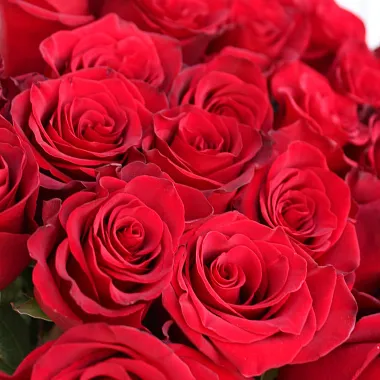Букет из высоких роз: Букет из 33 роз Explorer 90 см