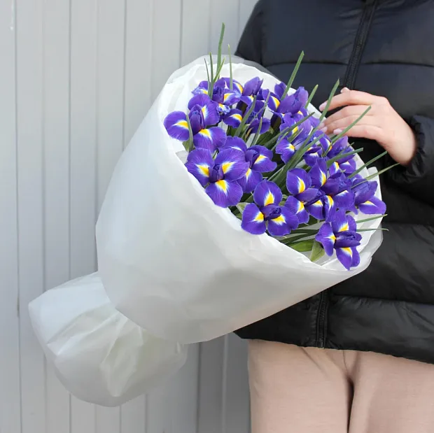 Букет из 15 синих ирисов