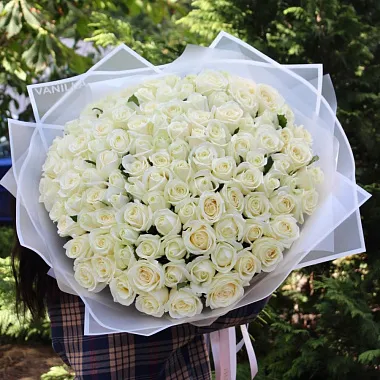 Букеты  цветов с доставкой - На фото 109 роз Аваланж 70 см в нежном оформлении - изображение 2 109 роз Аваланж 70 см в нежном оформлении - изображение 2