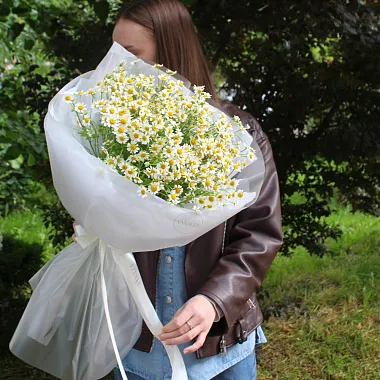 Букеты ромашек - Букет из ромашек "Нежность" - изображение 2 Букет из ромашек "Нежность" - изображение 2