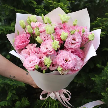 Монобукеты  цветов с доставкой - Букет из эустомы "Презент" - изображение 2 Букет из эустомы "Презент" - изображение 2