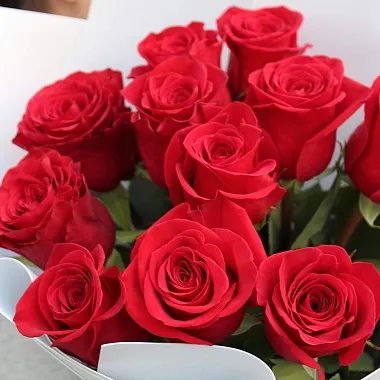 Эквадорские розы: На фото Красная роза в белом оформлении 80 см Эквадорские розы: Красная роза в белом оформлении 80 см