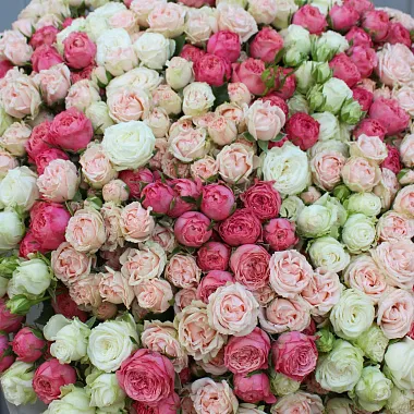 На фото Букет из 101 кустовой розы микс Букет из 101 кустовой розы микс