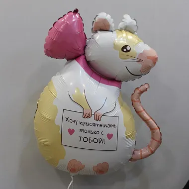 Шар с приколом - изображение 2