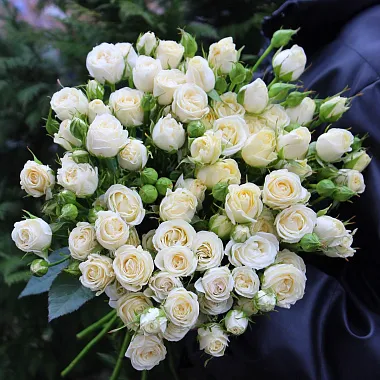 Букеты  цветов с доставкой: На фото 15 кустовых роз Беларусь под ленту Букеты  цветов с доставкой: 15 кустовых роз Беларусь под ленту