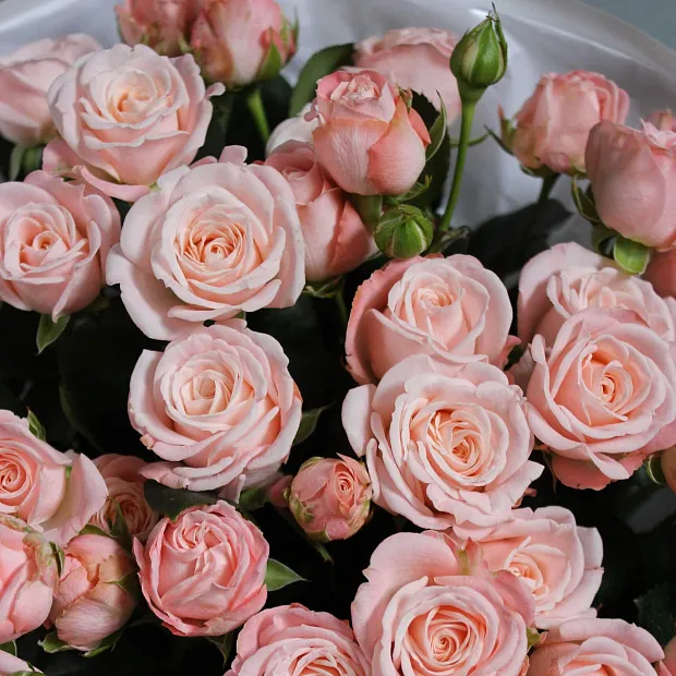 Букет из 9 веток пионовидной розы