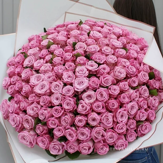 Букет из 151 розы Маритим 60 см