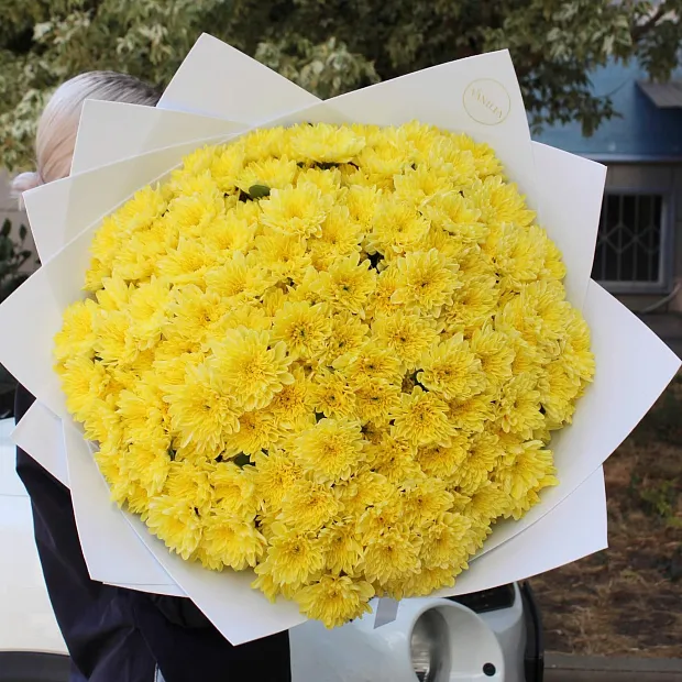 Букет из желтой хризантемы Балтика 25 шт.