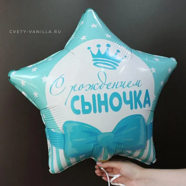 Шар на выписку мальчика