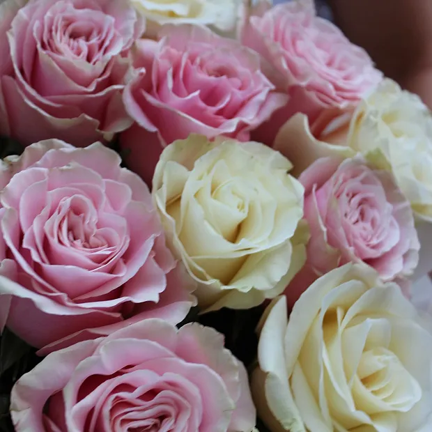 Букет микс роз Мондиаль 80 см