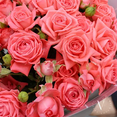 Цветы на День учителя: Букет из кустовой розы Барбадос  11 веток