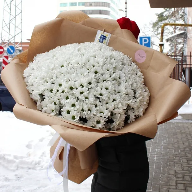 Букет из 51 ветки ромашковой хризантемы