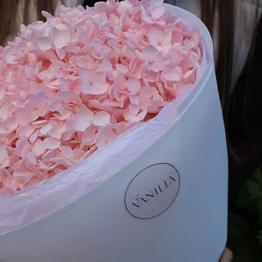 Букеты  цветов с доставкой: Букет из гортензии Peach Букеты  цветов с доставкой: Букет из гортензии Peach