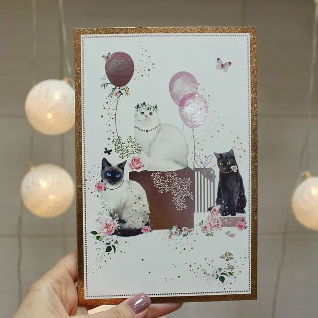 Открытка с котиками
