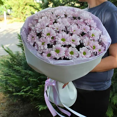 Цветы - Нежно-розовая хризантема в оформлении - изображение 2 Нежно-розовая хризантема в оформлении - изображение 2