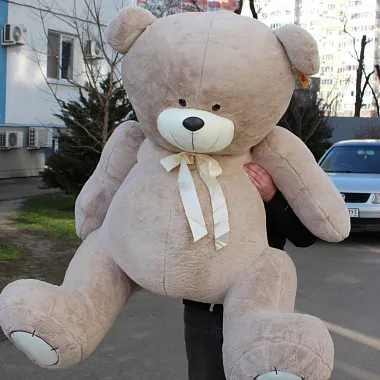 Очаровательный большой мишка - изображение 2