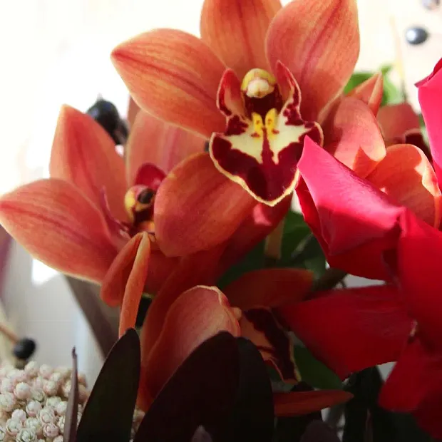 Сборный букет микс "Комплимент"