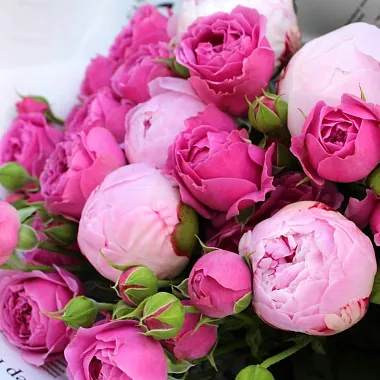 Букеты из малиновых роз: На фото Сборный букет "Expression" Букеты из малиновых роз: Сборный букет "Expression"