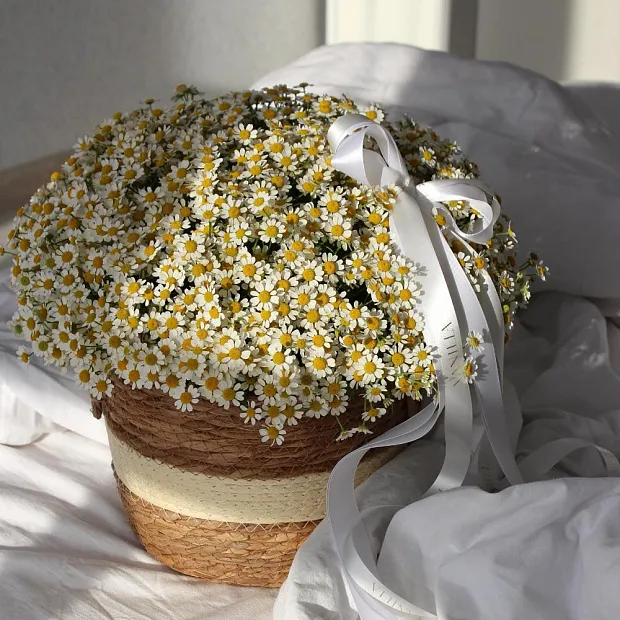 Корзинка с ромашками