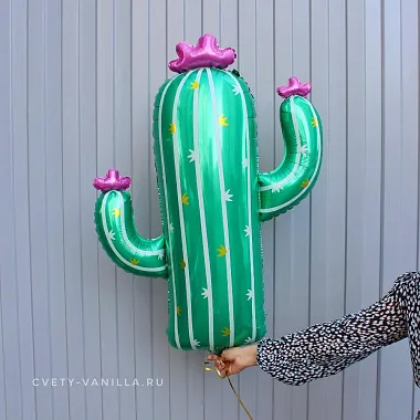 Фольгированный шар Кактус - изображение 2