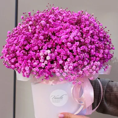 Букеты гипсофилов: Розовая гипсофила в цилиндре