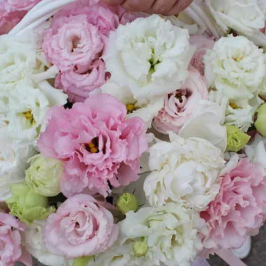 Букеты  цветов с доставкой: Корзинка с эустомой Букеты  цветов с доставкой: Корзинка с эустомой