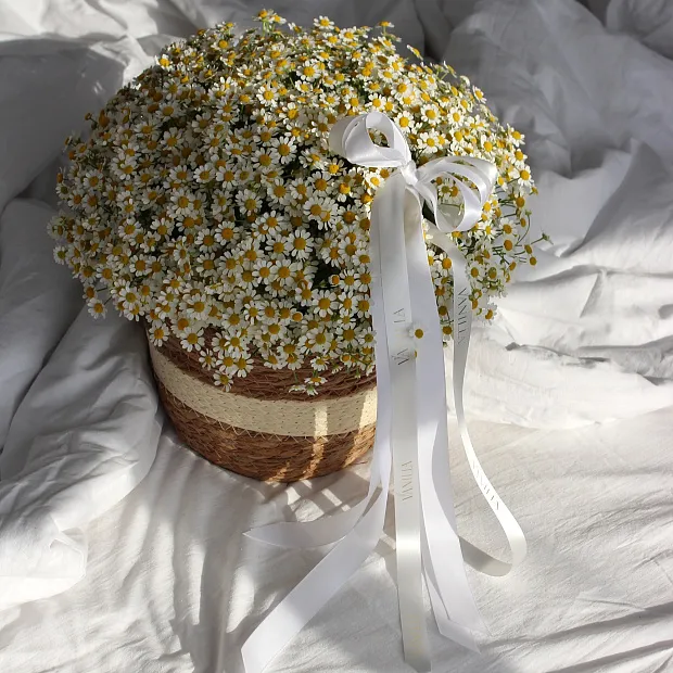 Корзинка с ромашками