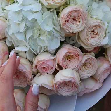 Букеты на День студента: Букет с кустовыми розами и гортензией