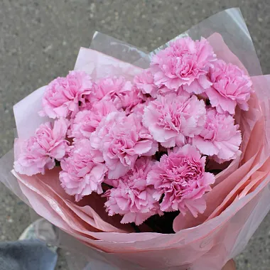 Цветы: Букет из 15 диантусов в оформлении Цветы: Букет из 15 диантусов в оформлении