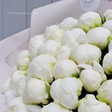 Букеты  цветов с доставкой: Букет из 51 белого пиона Букеты  цветов с доставкой: Букет из 51 белого пиона