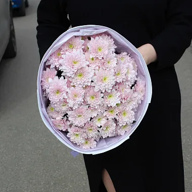 Осенние букеты  цветов с доставкой: Кустовая хризантема "Pink" Осенние букеты  цветов с доставкой: Кустовая хризантема "Pink"