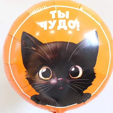 Шары на день рождения для мужчины: На фото Связка стильных шаров Шары на день рождения для мужчины: Связка стильных шаров