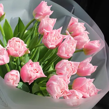 Подарки на 14 февраля: 19 розовых тюльпанов