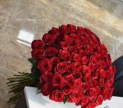Букет из 75 красных импортных роз 