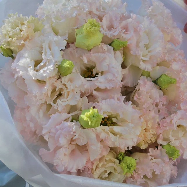 Цветы на праздник: Букет из эустомы цвета шампань