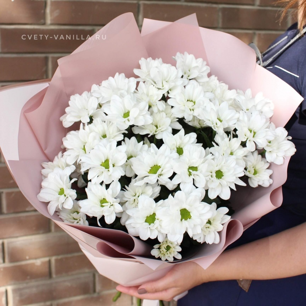 Купить Букет из 5 веток белой хризантемы с доставкой в Краснодаре