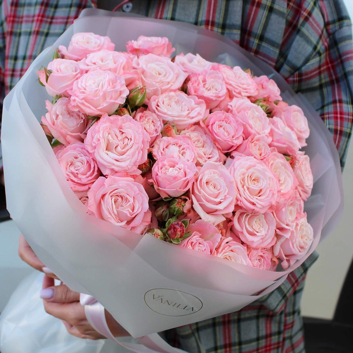 Кустовая роза Bombastic