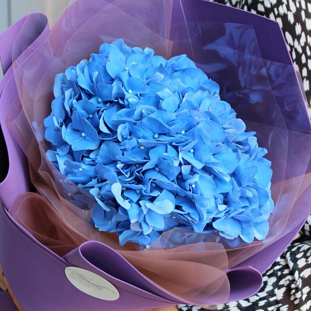 Цветы на праздник: Синяя гортензия