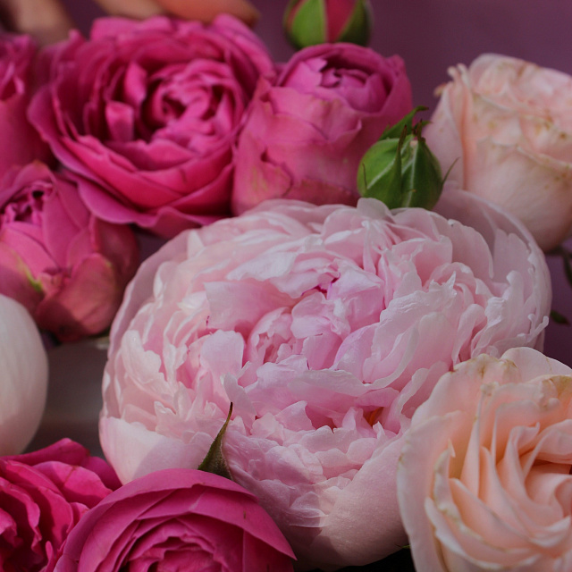 Цветы на праздник: Букет "Plombir"