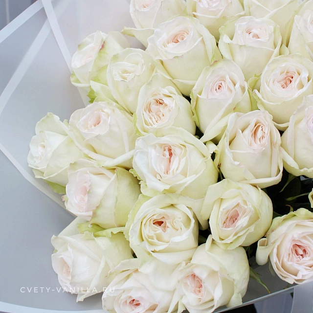 25 нежных роз 50 см