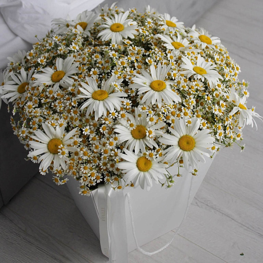 Букет любимой "Ромашки" - изображение 2